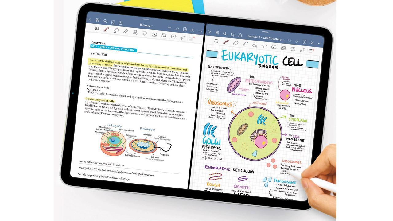iPad essentials