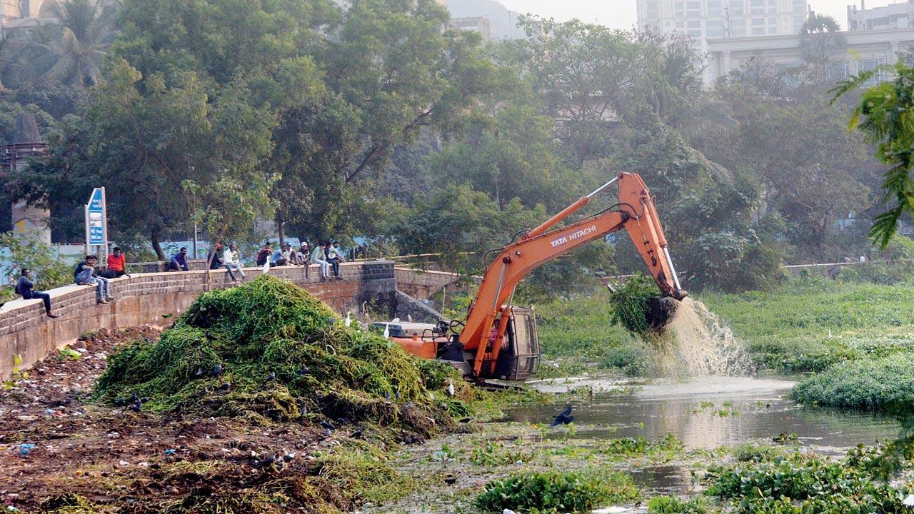 Experts panel to check environmental aspects Powai Lake projects