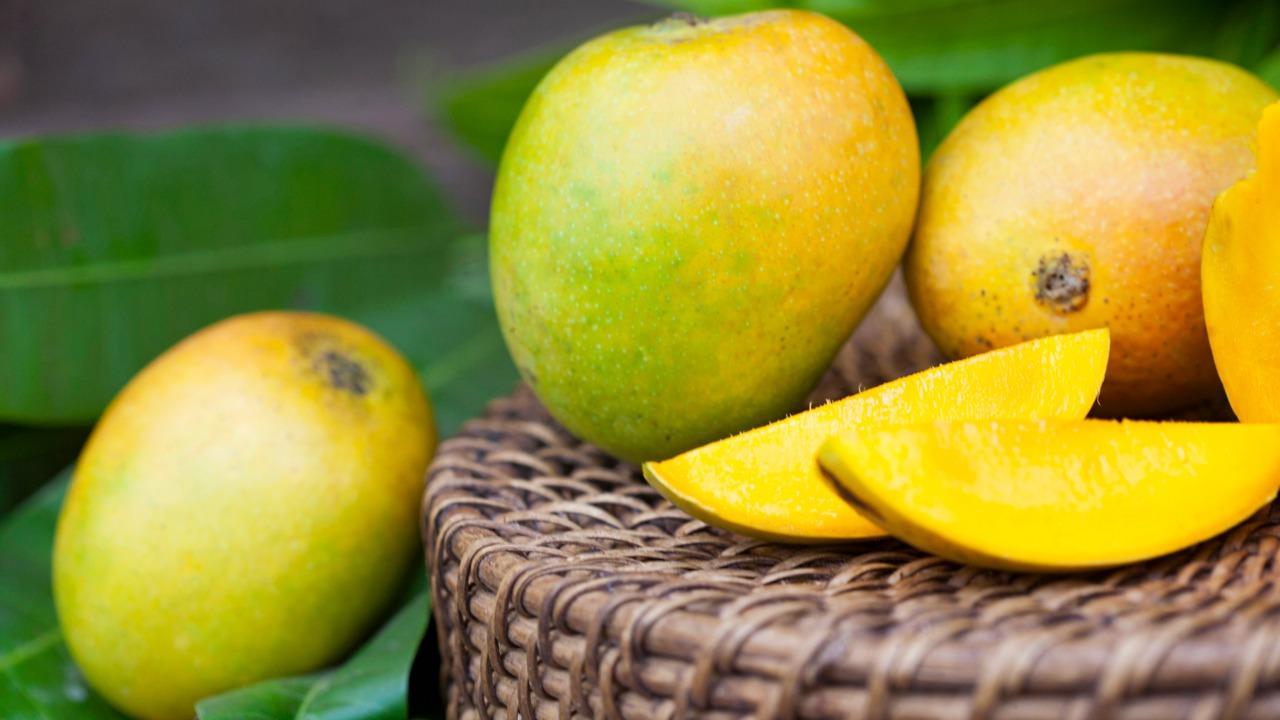 Eating mangoes may have positive outcome on health, boosts immunity: Study
