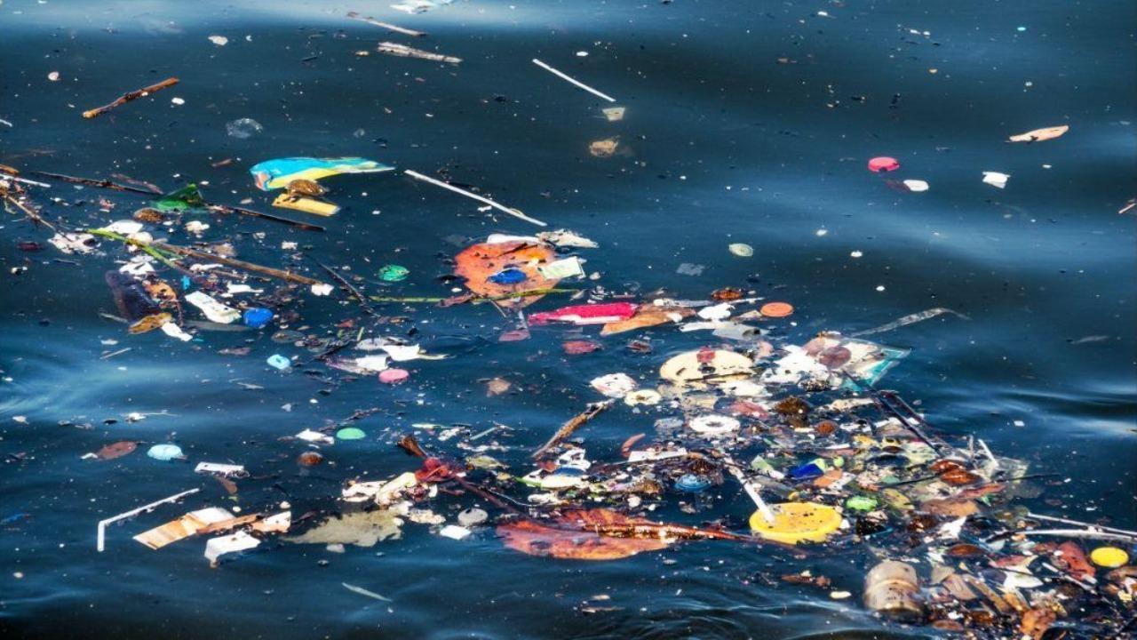 India, Australia, Singapore to work together to address marine plastic pollution issue