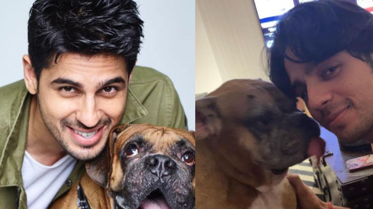 Sidharth Malhotra pens a heartbreaking note as his pet Oscar passes away