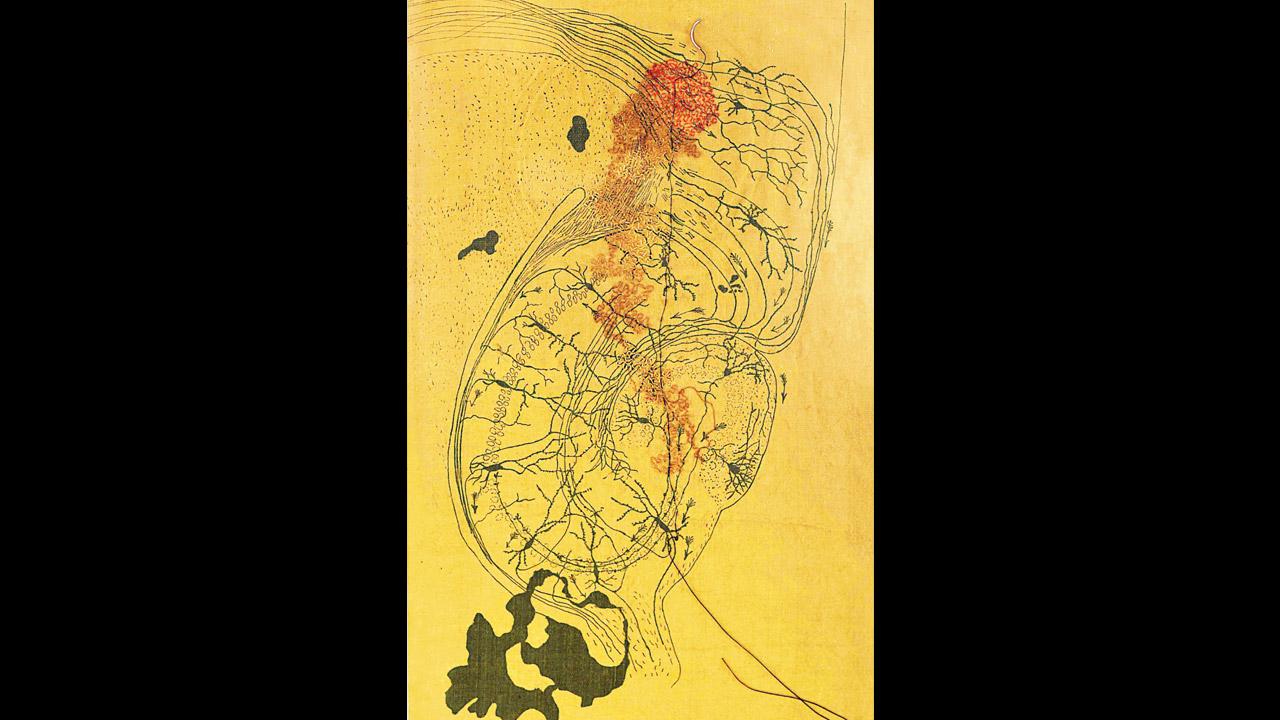 Sunaina Bhalla worked with handmade paper and suture thread embroidery for the exhibition