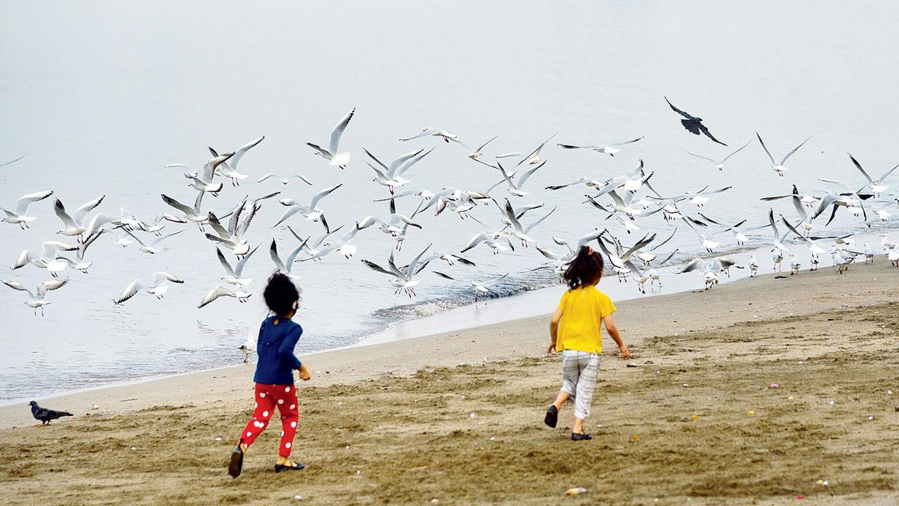 Mumbai Diary: Sunday Dossier