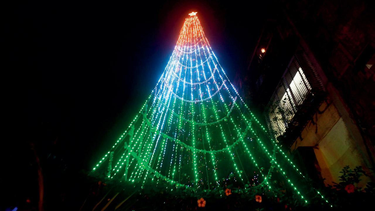 Worli man dresses up over 60-ft tall Christmas tree in tricolours for Republic Day