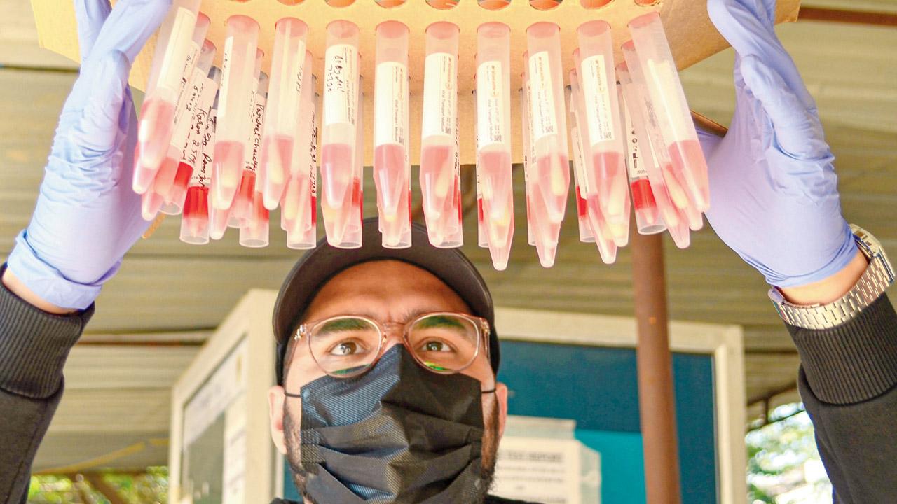 A health worker with swab samples collected for Covid-19 test, in Gurugram on Friday. Pic/PTI