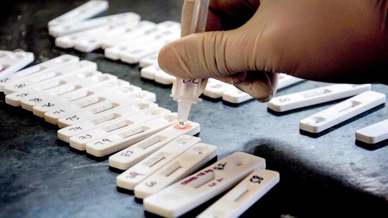 A health worker tests swab samples for Covid, in Amritsar. Pic/PTI