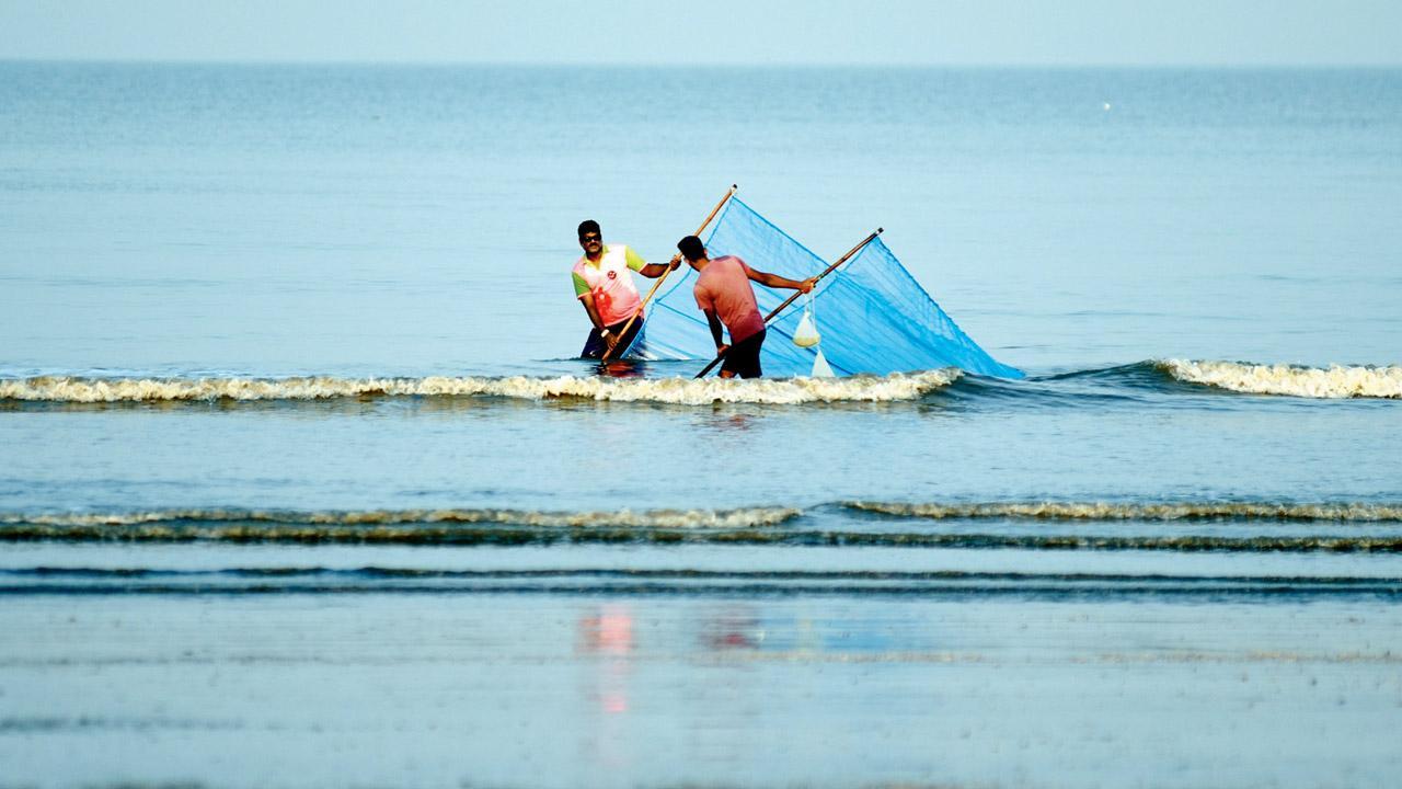 Compensation scheme by Maharashtra forest dept a hit among fishermen