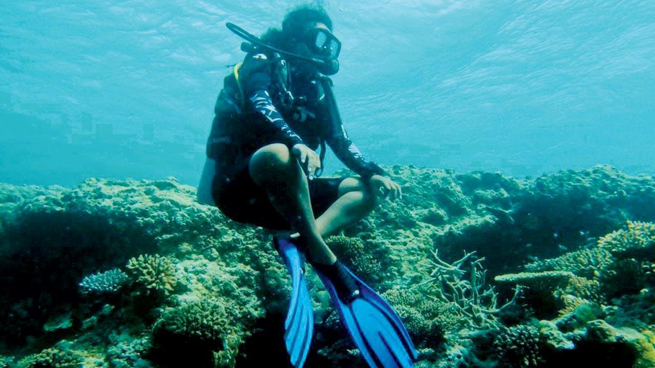 Go, dive. She’ll support you.