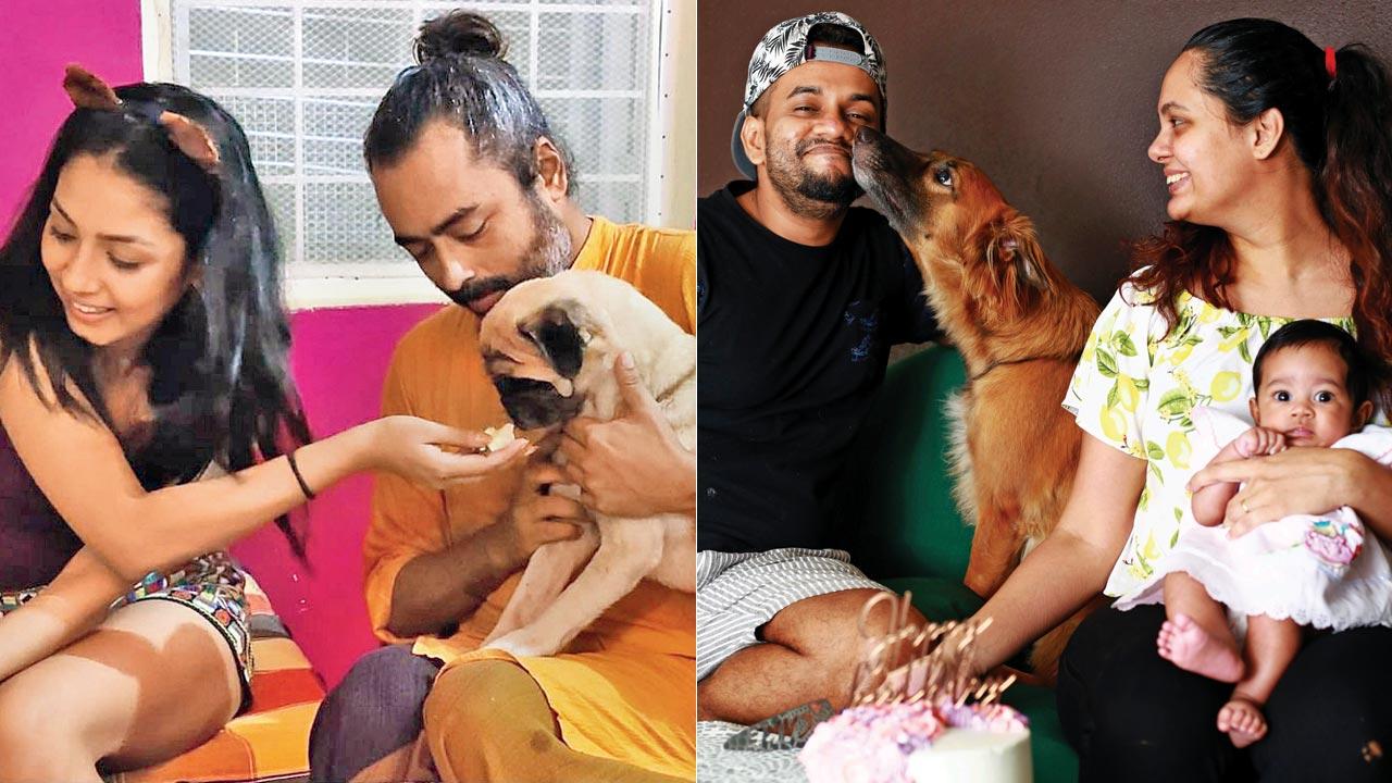 Filmmaker Abhijit Das and his partner Riya Bhattacharje, an actor, have 11 dogs and eight cats. They often go to brewpub Doolally where pets are allowed. The beach in Madh Island is also one of their favourite haunts; (right) Everol Dsouza, a city-based photographer, with wife Meryln, baby Moana, and their dog Coco