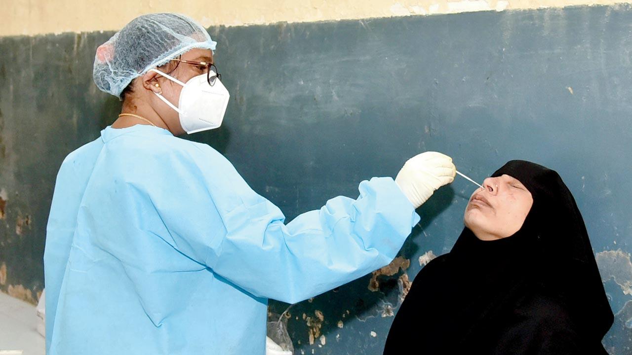 A health worker takes a swab sample of a woman, in Hyderabad on Friday. Pic/PTI