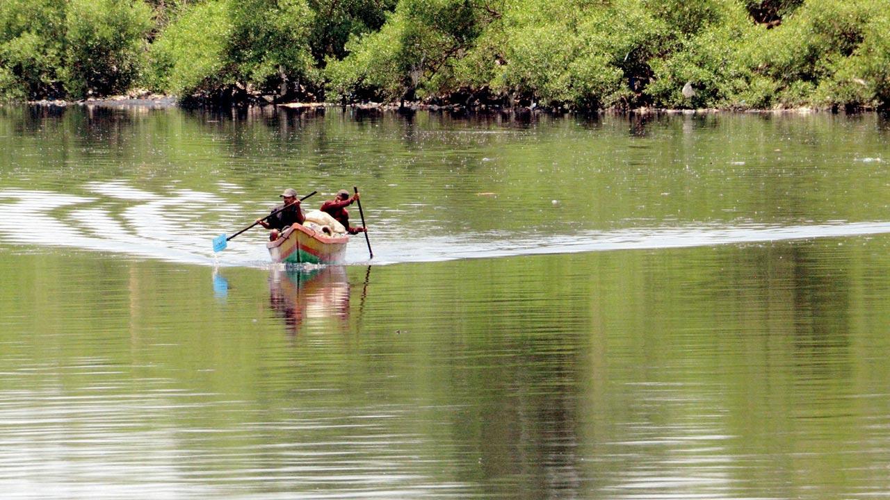 Poisar river rejuvenation may finally take off