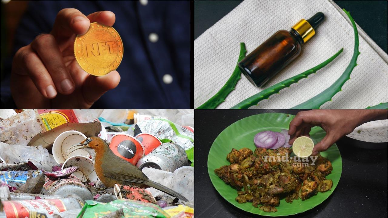 From NFT to 'bhujing': Here’s a weekly round-up of Mid-day.com’s top feature stories