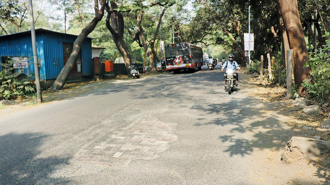 Aarey to be shut at night to protect animals: Aaditya Thackeray