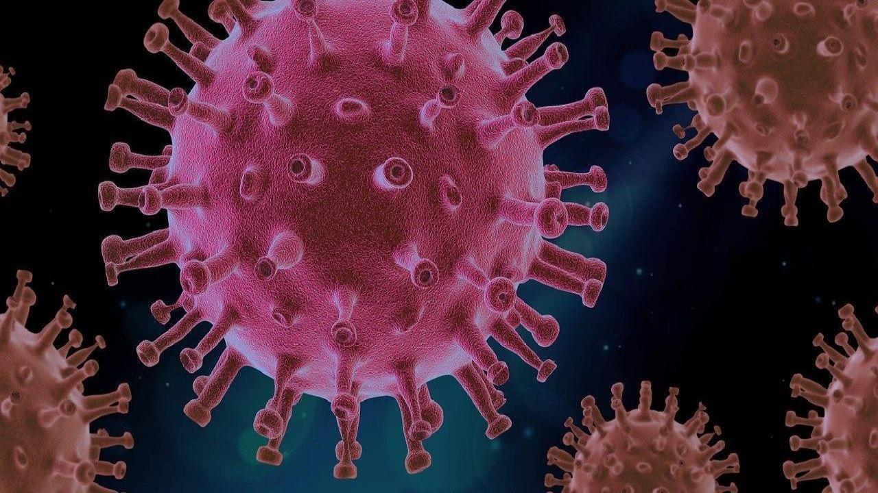 Coronavirus is here to stay, will not go away completely: WHO Photo for representational purpose. Pic/ istock