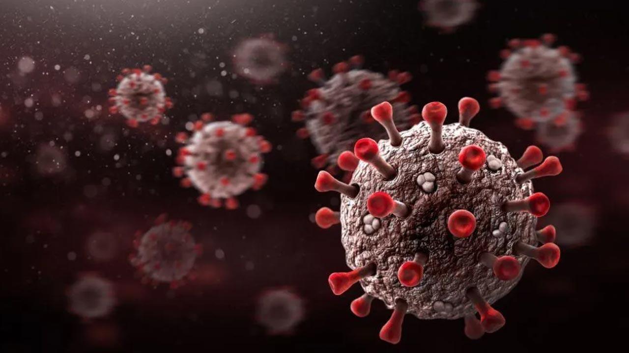 India logs 2,86,384 new Covid-19 cases in last 24 hours