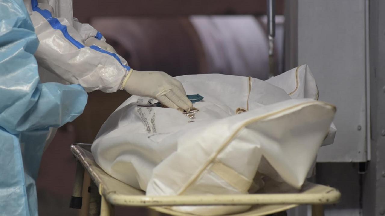 Delhi logs 23 COVID-19 fatalities, 21,259 cases