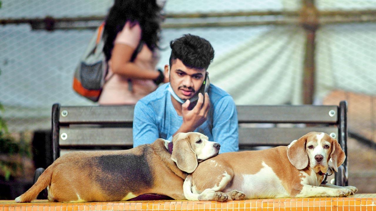 Mumbai Diary: Monday Dossier