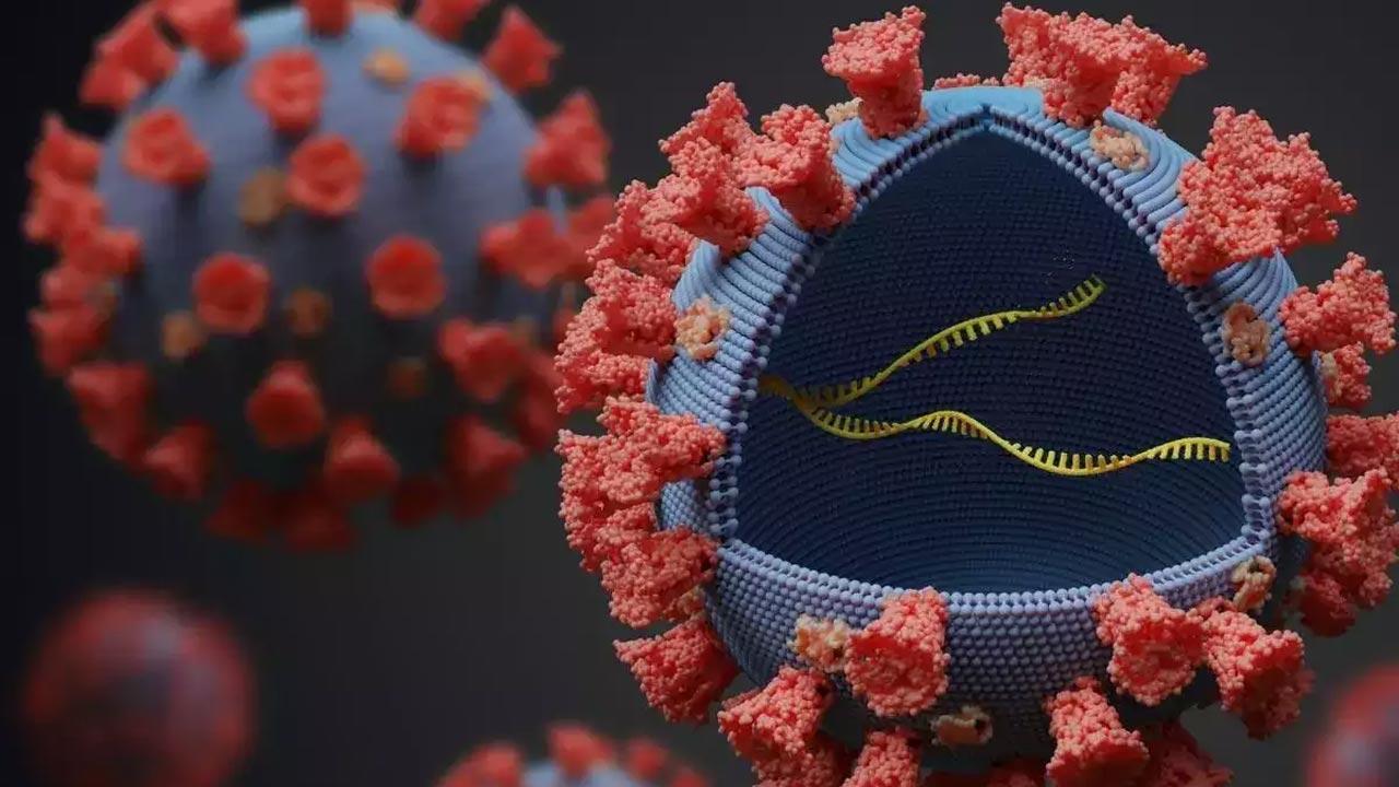 Risk persists even though Covid-19 cases starting to plateau in parts of India: WHO