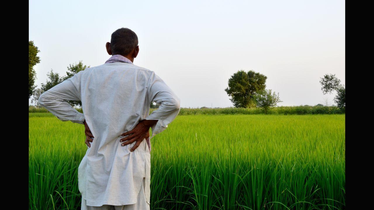 Watch video: Farmer slaps BJP MLA; lawmaker says it was 'just a fond pat by his uncle'