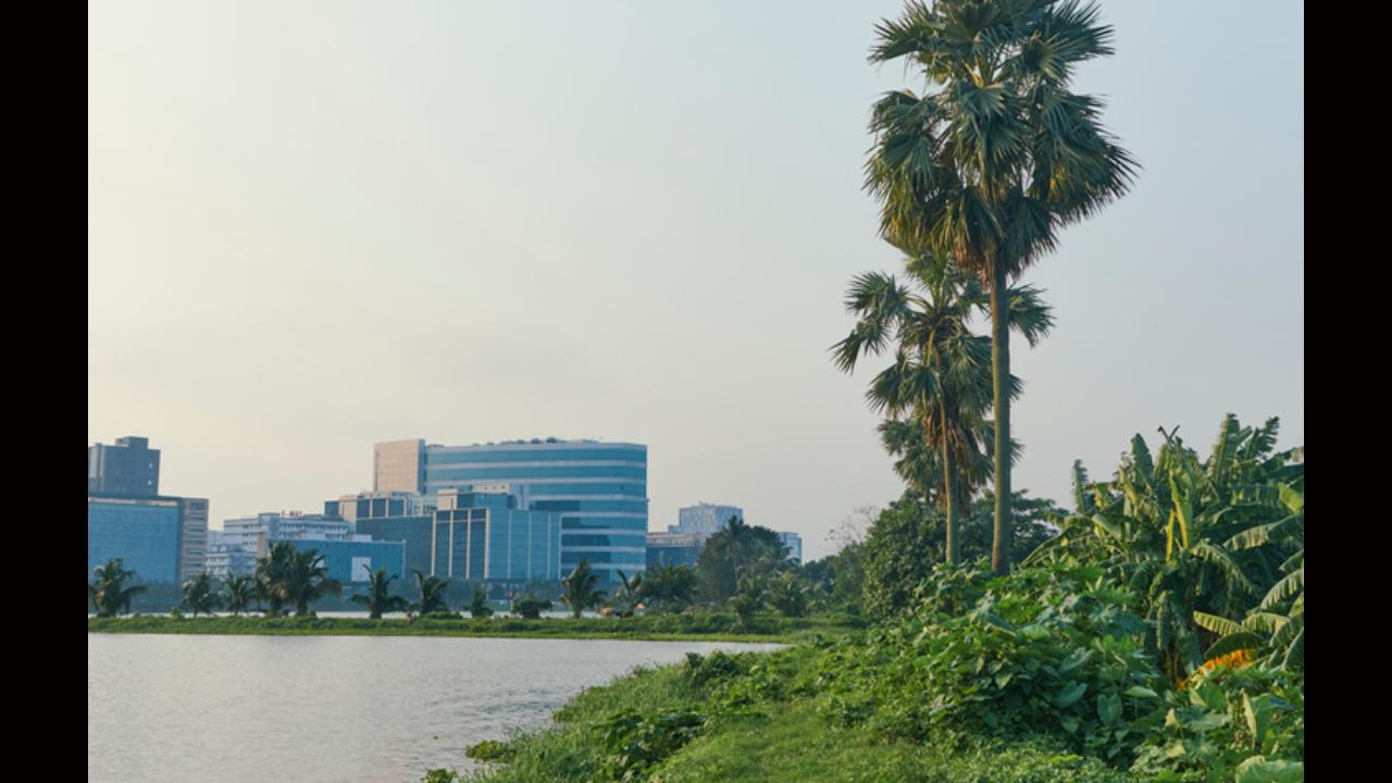 Green sector demands higher share in Budget '22 to meet India's international commitments