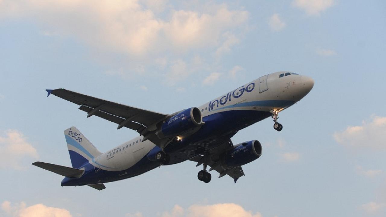 Mid-air collision of Indigo flights averted: DGCA to probe, assures strict action