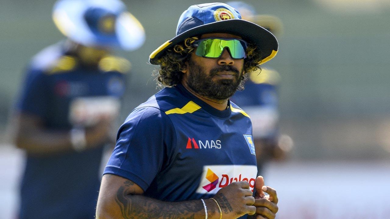 Sri Lanka Cricket appoint Lasith Malinga as Bowling Strategy Coach