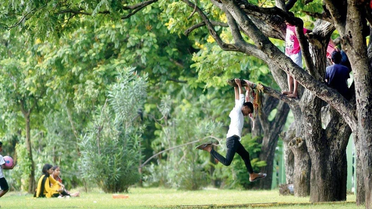 Let’s respect public gardens like we do our homes