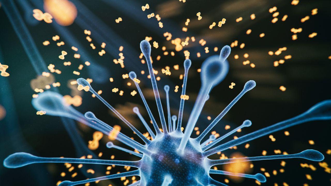 India records biggest single-day rise of 495 Omicron cases, total tally 2,630