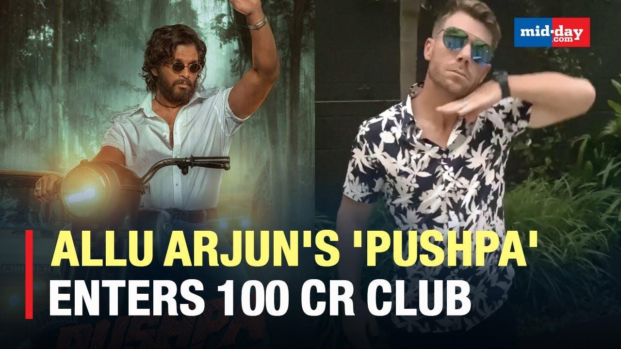 Allu Arjun's 'Pushpa' (Hindi) Crosses 100 Cr Mark Despite Its Release On OTT