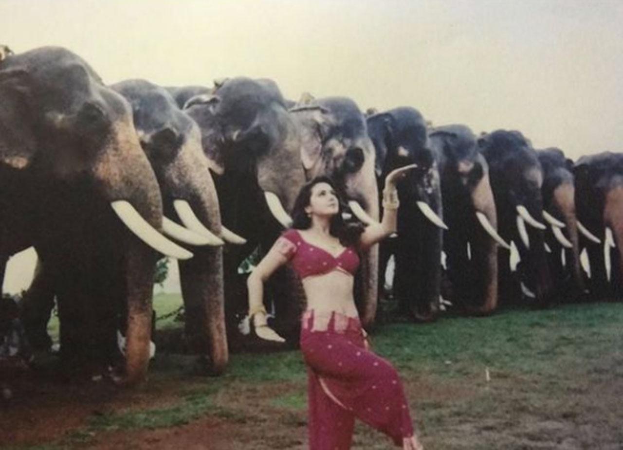 Shooting with the Elephants
Dil Se was Preity Zinta’s Bollywood debut and there was a song where she posed along with a herd of elephants. She wrote- “Do u think the elephants were wondering what the hell was I doing ? I was just doing everything @farahkhankunder asked me to like a good girl. This has to be one of my favourite photos from the Dil Se shoot.