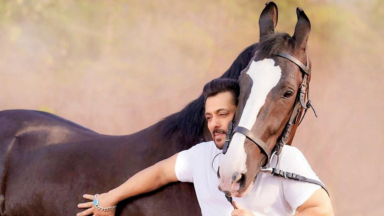 Have you heard? Salman Khan is enjoying some pet time