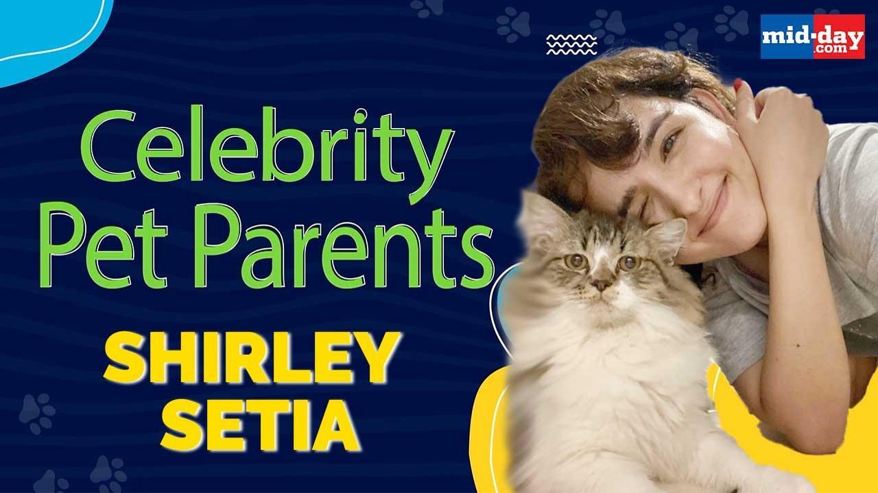 Celebrity Pet Parents: Marvel Fan Shirley Setia Introduces Thor, Loki And Sylvie