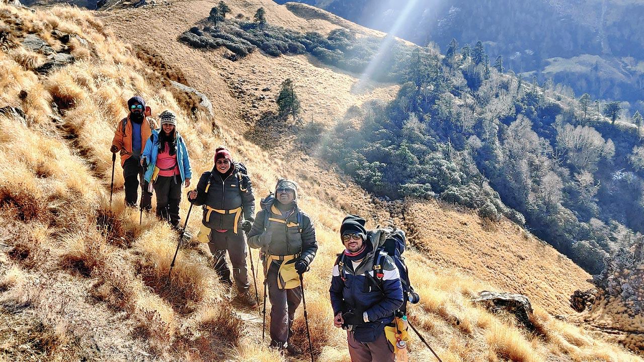 The Kuari Pass summit offers sweeping sights of the Chaukhamba, Neelkanth, Dronagiri, Nilgiri and Hathi Ghoda peaks