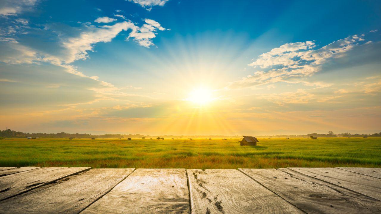 2021 fifth warmest year in India since 1901: IMD