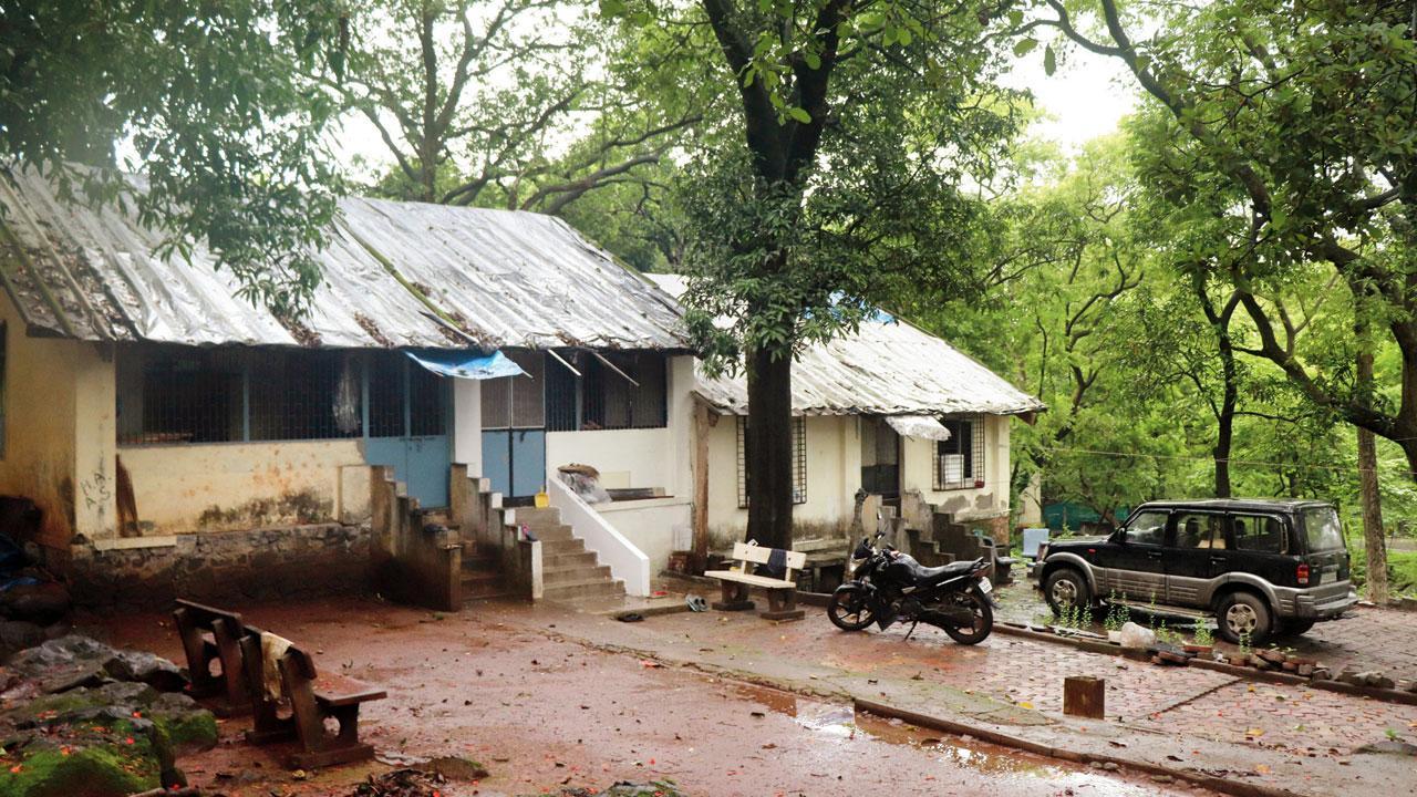 Mumbai: Aarey tabela owners told to vacate govt quarters
