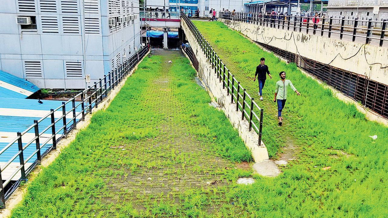Mumbai Diary: Saturday Dossier