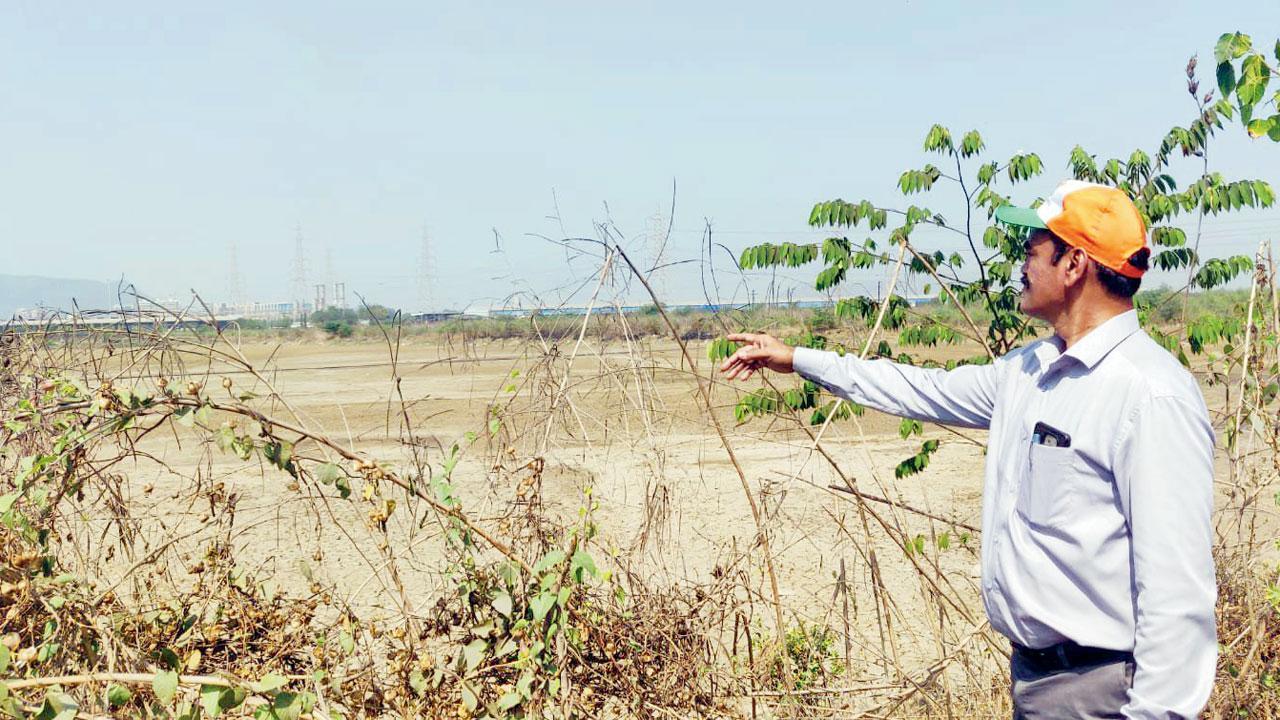 Act on wetland destruction in 15 days, Centre tells Maharashtra