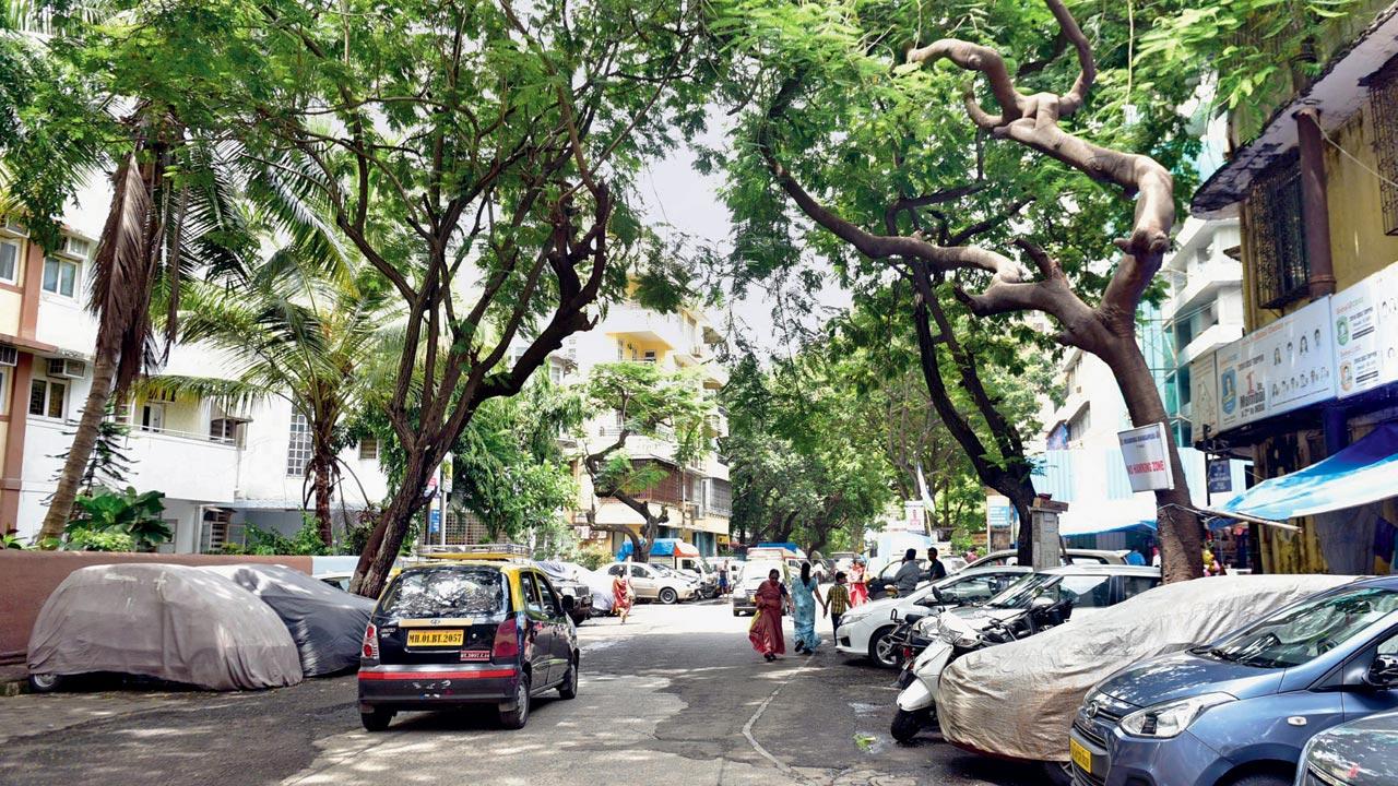 Sleater Road, where residents recount how ingeniously they have always coped with chronic monsoon flooding. File pics