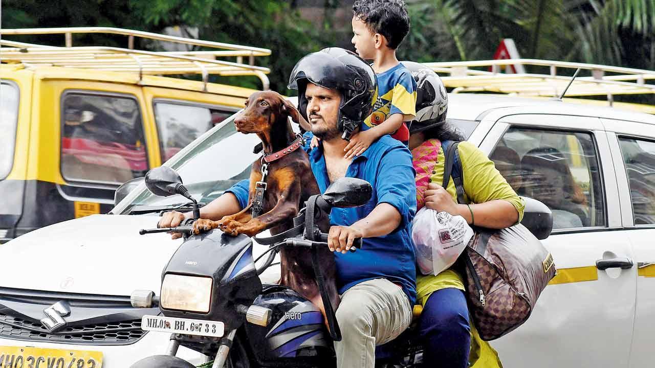 Mumbai Diary: Sunday Dossier