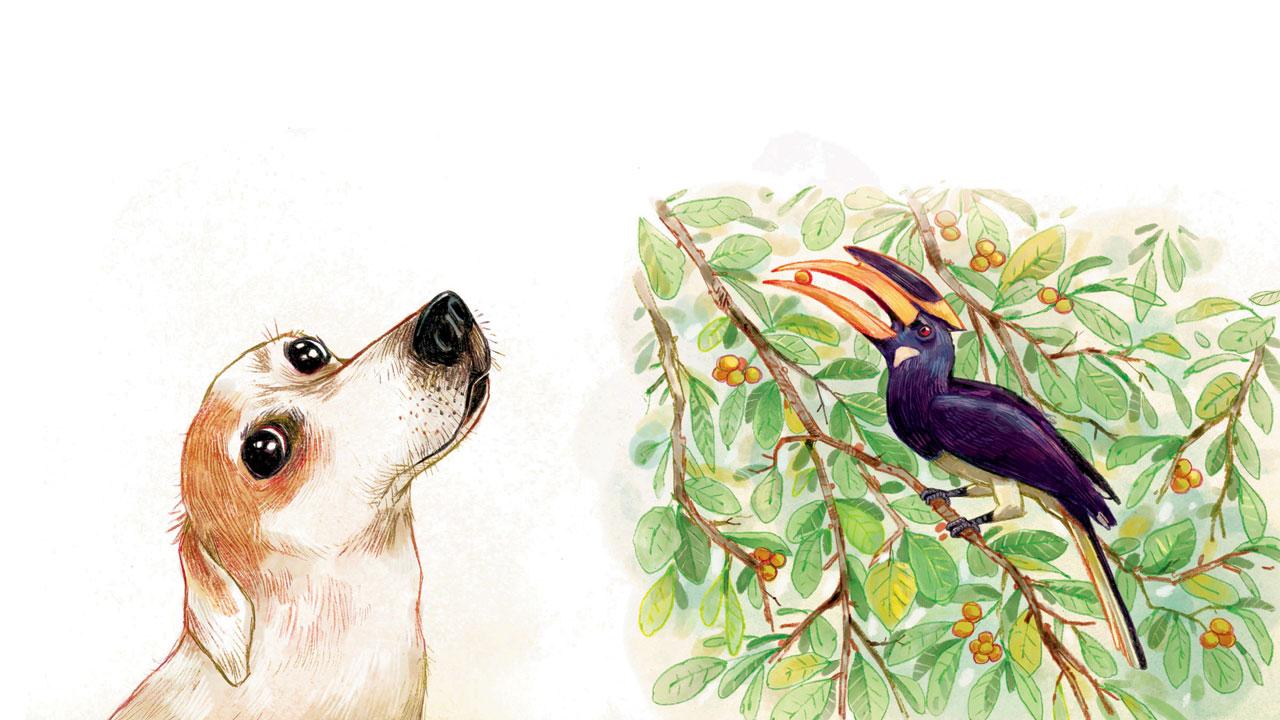 A picture from the winning book