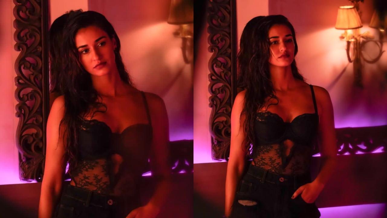 Dishapatani Xxxxvideo - Disha Patani shares a sizzling glimpse from sets of 'Ek Villain Returns'