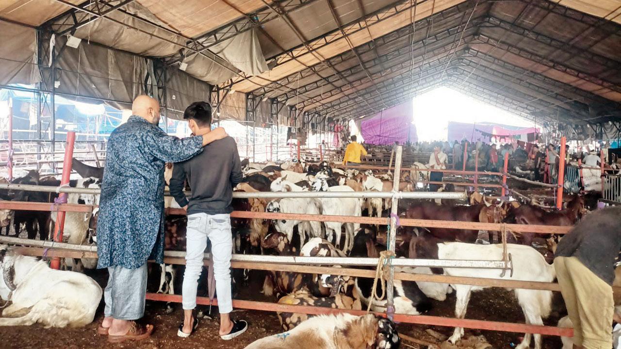 Mumbai: BMC goes digital, to check goat thefts at Deonar abattoir