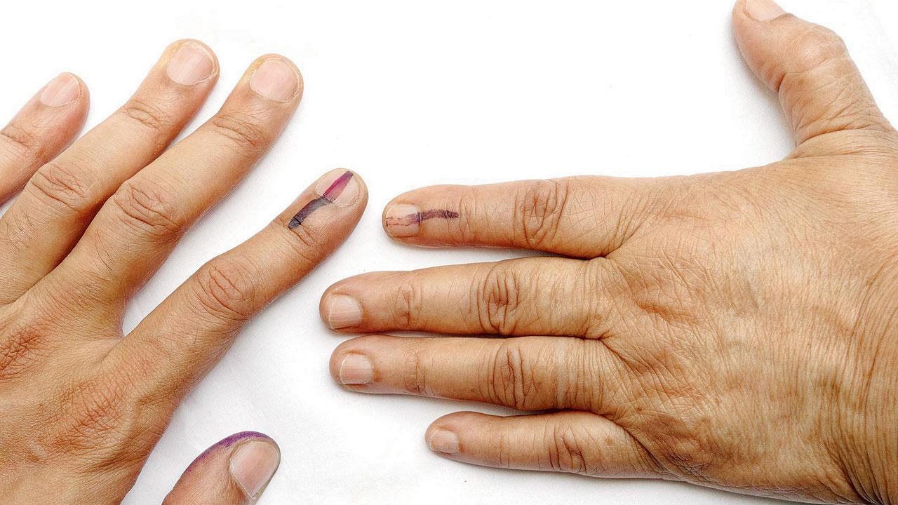 Maharashtra local body elections put off till further notice