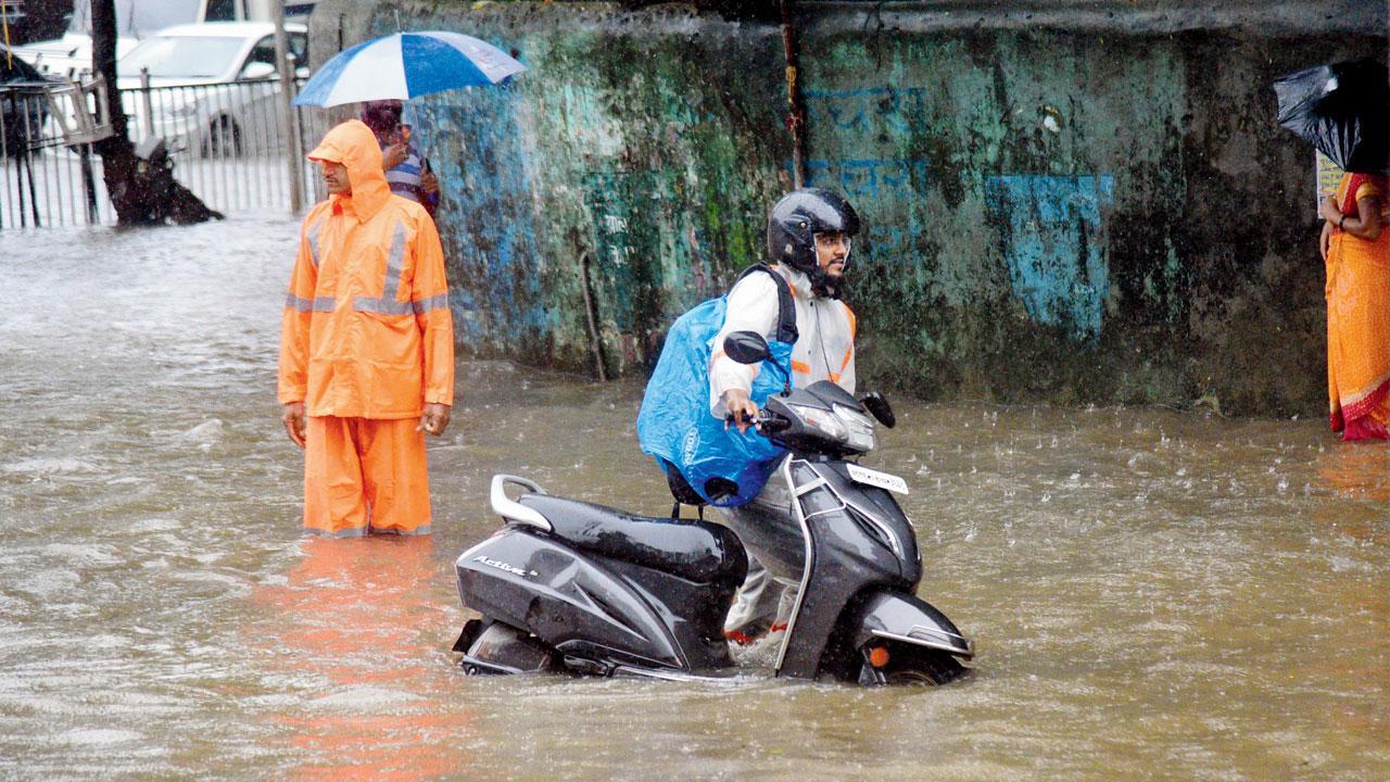 Mumbai: Sion and Matunga flooded this time, no respite next year, too