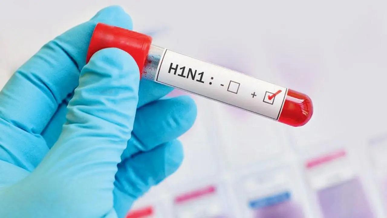 62 swine flu cases found in Mumbai circle this year