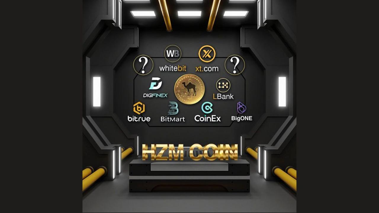 Everything You Need to Know Before Investing in HZM Coins