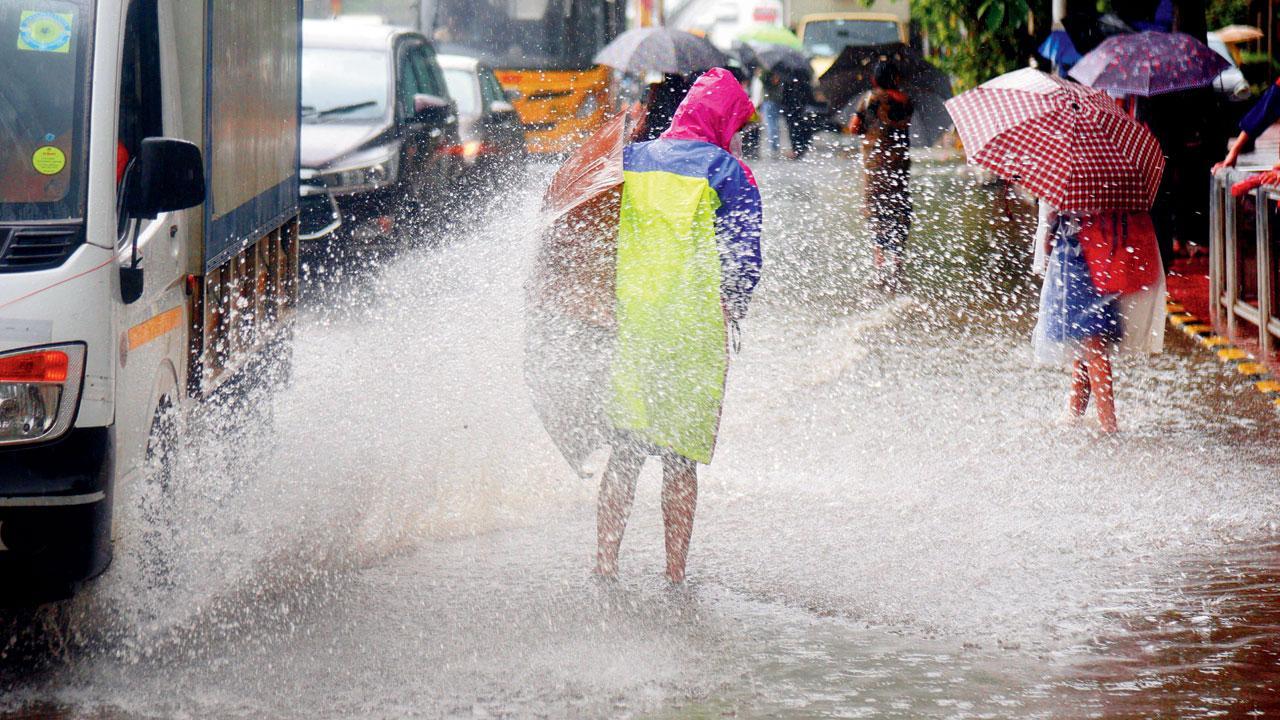 Mumbai, suburbs can expect heavy rain today; IMD issues orange alert