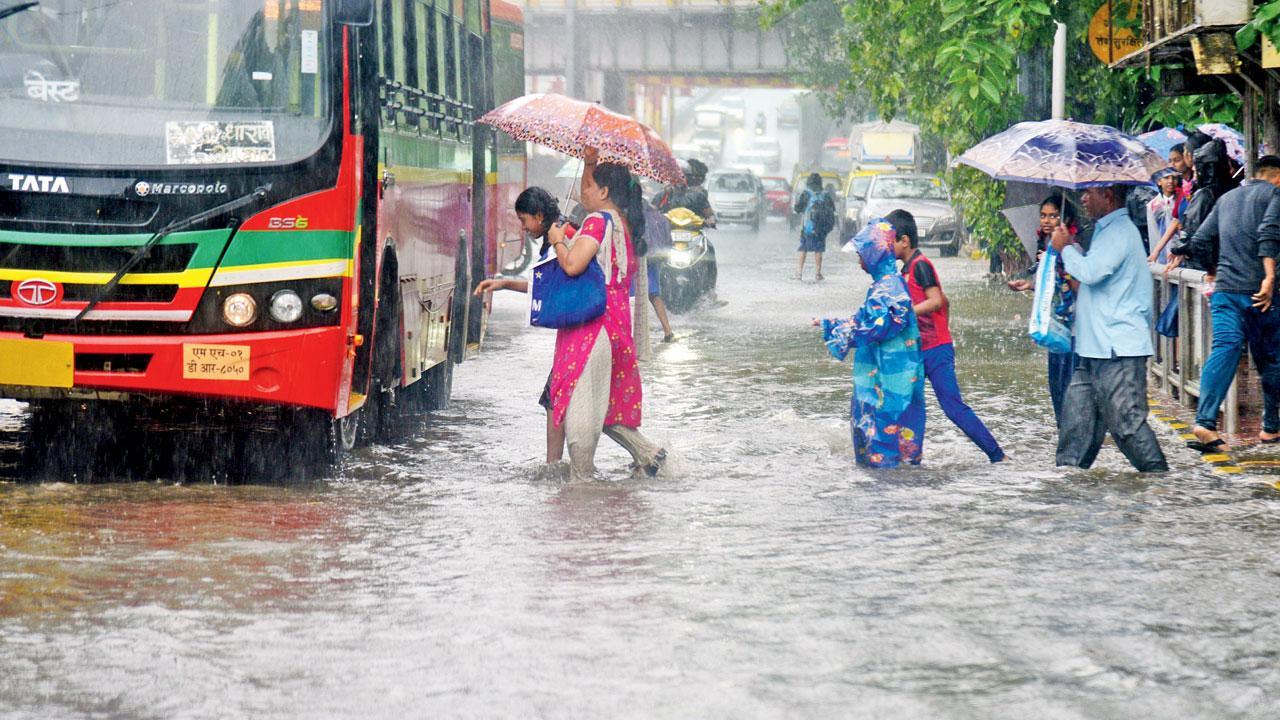 Mumbai: Flooded roads raise fears of spike in lepto infections