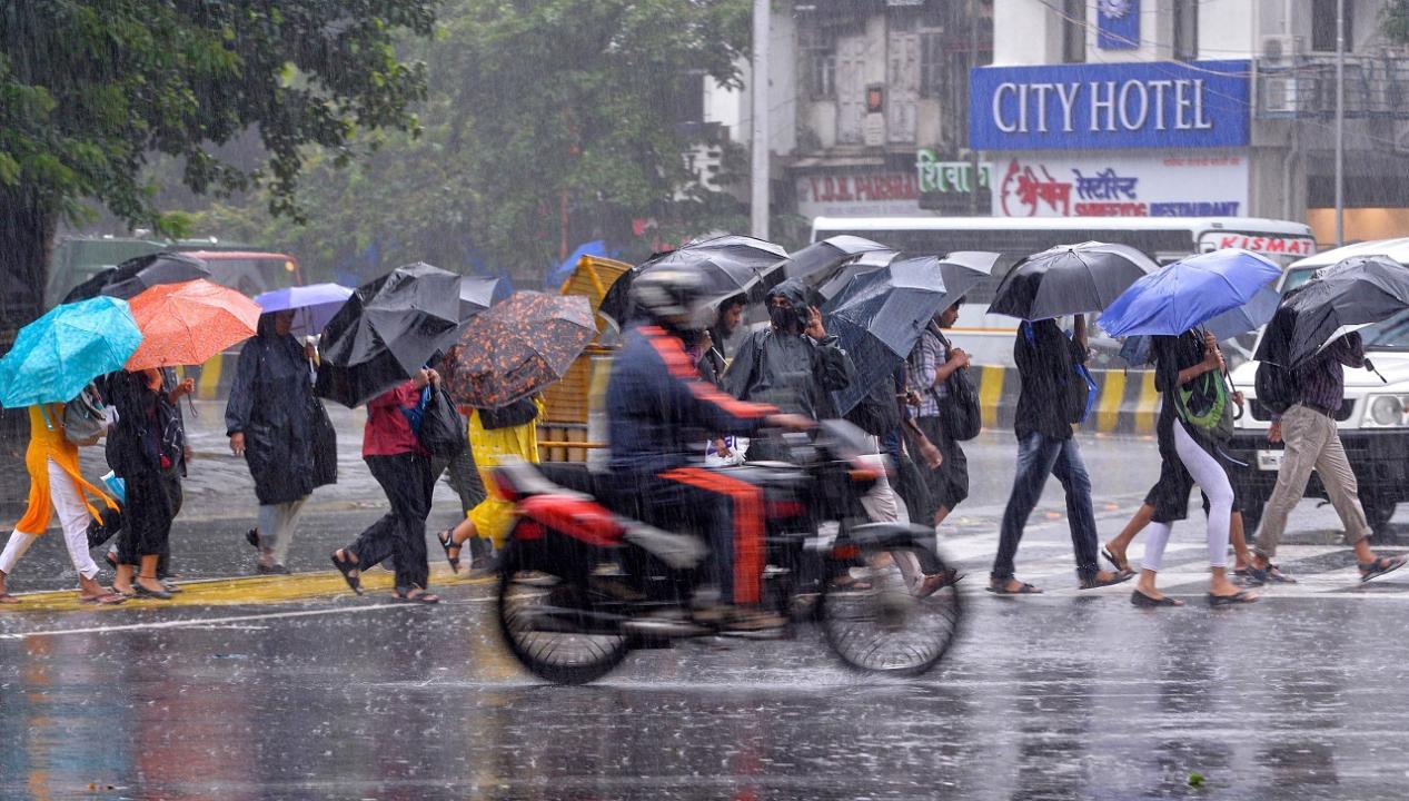 Mumbai Rains Updates: Traffic hit on Mumbai-Ahmedabad Highway due to rains
