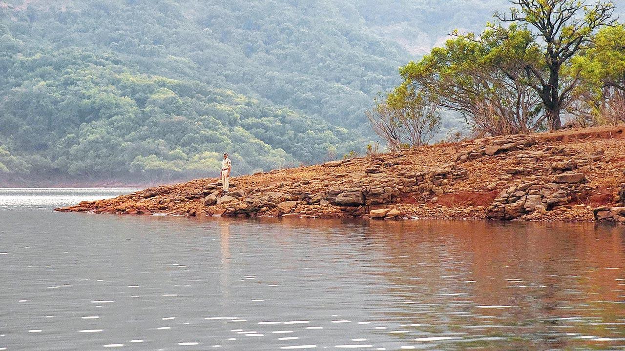 A forest guard on patrol in Sahyadri Tiger Reserve, Maharashtra. Forest guards working in the Wildlife Wing, especially those posted in tiger reserves, live in isolation with little or no human contact. They have to endure extreme weather conditions, brave the risk of confrontation with poachers, timber mafia, the occasional animal attack, and diseases such as malaria and tick fever. A recent study conducted by the Wildlife Conservation Trust explored how being isolated in the forest often affects the mental health of these guards. The report recommended that centrally located staff colonies be developed for the families of forest guards on the lines of police colonies that exist across India. Pics Courtesy/Anish Andheria
